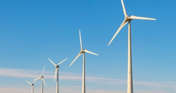 Environnement : int&eacute;r&ecirc;t &agrave; agir d’une association