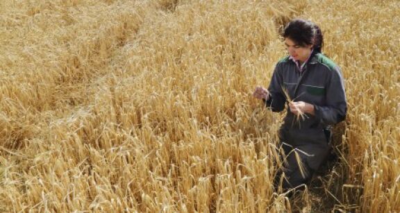 La transmission des exploitations agricoles est encourag&eacute;e