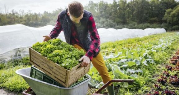 Prorogation de deux cr&eacute;dits d’imp&ocirc;t sp&eacute;cifiques aux exploitants agricoles