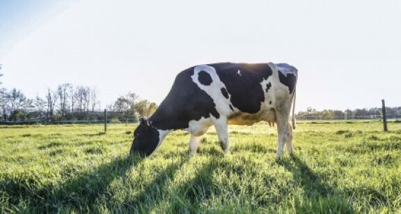 Loi d’orientation agricole : les principales mesures