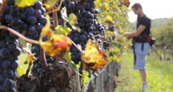 Calcul de l’indemnit&eacute; due &agrave; un exploitant agricole en fin de bail