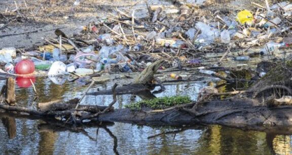 Environnement : appel dans le cadre d’un r&eacute;f&eacute;r&eacute; p&eacute;nal