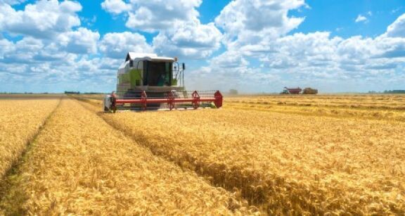 Exploitants agricoles : le calendrier de versement des aides Pac 2025