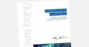 Les e-commer&ccedil;ants face &agrave; la cybercriminalit&eacute;