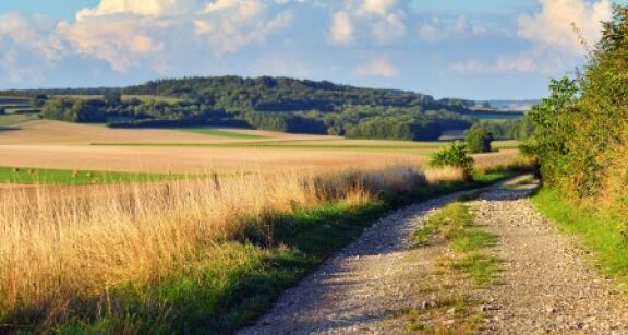 Les prix des terres agricoles ont encore augment&eacute; en 2024 !