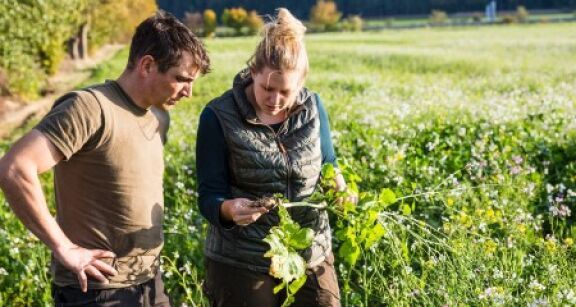 D&eacute;c&egrave;s d’un exploitant agricole : &agrave; qui est attribu&eacute; le bail rural ?