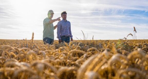 &Agrave; quel moment peut-on ins&eacute;rer une clause de reprise sexennale dans un bail rural ?