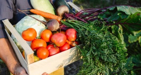 Exercice d’une activit&eacute; commerciale accessoire par une soci&eacute;t&eacute; agricole : du nouveau !