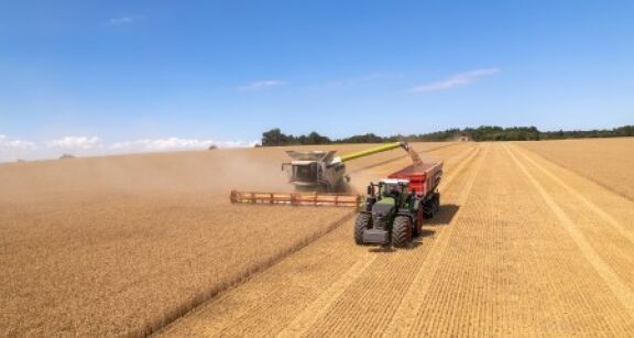 La production agricole a recul&eacute; de 8,8 % en 2024