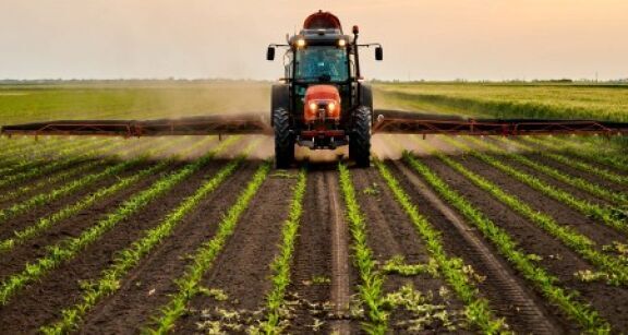 Environnement : responsabilit&eacute; de l’&Eacute;tat pour pr&eacute;judice &eacute;cologique
