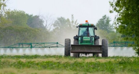 Environnement : d&eacute;lai de prescription de l’action pour pr&eacute;judice &eacute;cologique