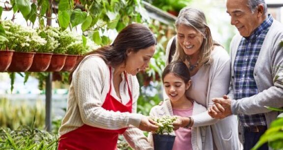 March&eacute; du jardin : baisse de 2 % en 2025 et mutation des comportements d’achat