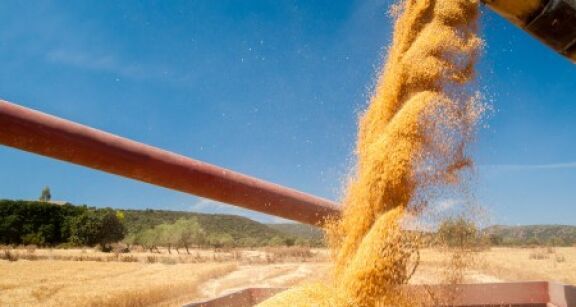 2025 a &eacute;t&eacute; marqu&eacute;e par une hausse de 3,7 % de la production agricole
