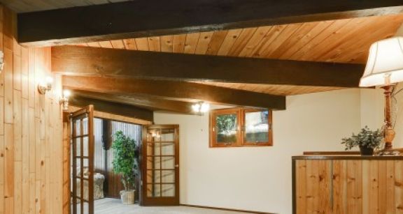 Achat d’un immeuble infest&eacute; de termites non d&eacute;tect&eacute;s par le diagnostiqueur