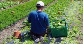 Insertion : expérimentation territoires zéro chômeur de longue durée