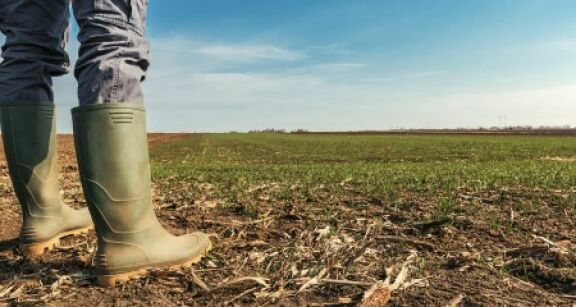 Un train de mesures fiscales pour le secteur agricole