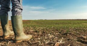 Un train de mesures fiscales pour le secteur agricole