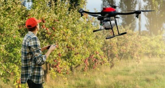 Arboriculture, viticulture : autorisation temporaire des traitements par drone en Occitanie