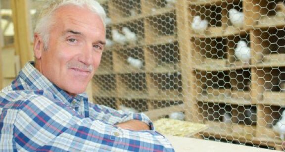 Aviculture : indemnisation des éleveurs impactés par la grippe aviaire 2025-2026