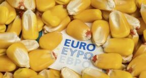 Exploitants agricoles : plus que quelques semaines pour déposer votre déclaration Pac