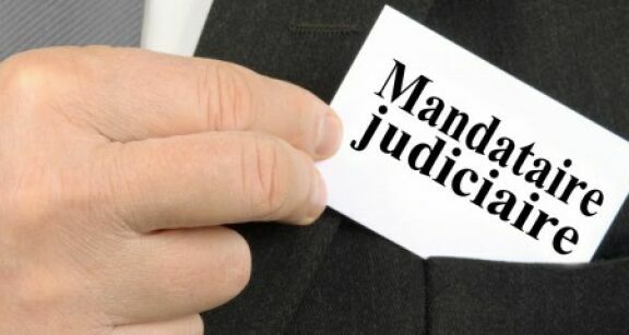 Administrateurs et mandataires judiciaires : démographie au 1 janvier 2026