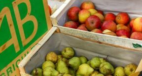 Prorogation de deux crédits d’impôt dédiés aux agriculteurs