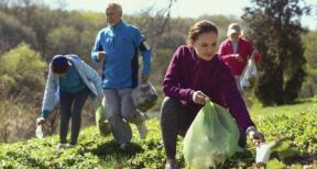 Compte d’engagement citoyen : les bénévoles ont jusqu’à fin juin pour déclarer leurs activités