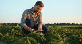 Exploitants agricoles : renforcement de la déduction pour épargne de précaution