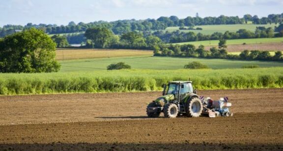Les prix des terres agricoles à la hausse en 2025