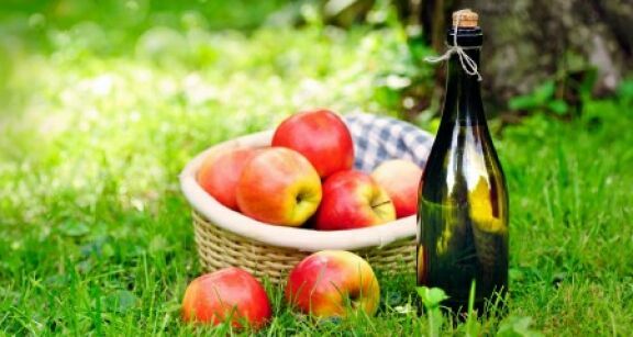 Arboriculture : aide à la plantation de pommiers à cidre