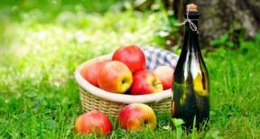 Arboriculture : aide à la plantation de pommiers à cidre