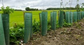Exploitants agricoles : hausse du montant de plusieurs aides Pac au titre de 2025