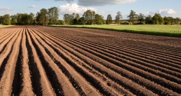 Vente de la nue-propri&eacute;t&eacute; et de l’usufruit d’un bien agricole