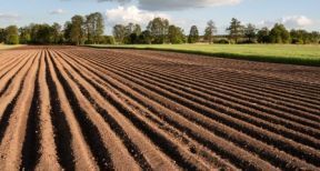 Vente de la nue-propri&eacute;t&eacute; et de l’usufruit d’un bien agricole