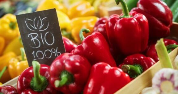 Le marché biologique renoue avec une croissance robuste