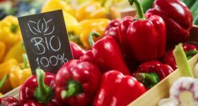 Le marché biologique renoue avec une croissance robuste