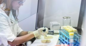 Cr&eacute;dit d’imp&ocirc;t recherche et personnel mis &agrave; disposition