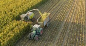 La production agricole en hausse de 4,7 % en 2025