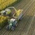 La production agricole en hausse de 4,7 % en 2025