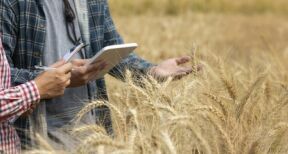 Non-salariés agricoles : des cotisations dues pour une année entière