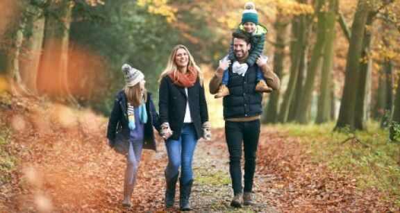 Jours fériés du mois de novembre : comment procéder ?