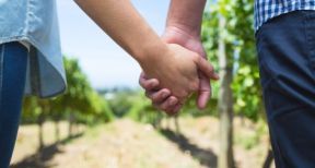 Conjoint repreneur d’une exploitation agricole : sur quelle base allez-vous cotiser ?