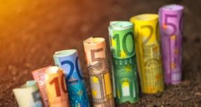 Les dates de versement des aides Pac ont &eacute;t&eacute; d&eacute;voil&eacute;es