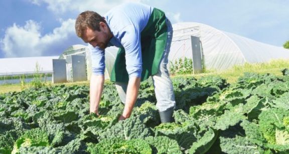 Un guide pour &eacute;valuer la p&eacute;nibilit&eacute; en agriculture
