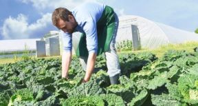 Un guide pour &eacute;valuer la p&eacute;nibilit&eacute; en agriculture