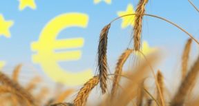 Agriculteurs : un nouveau sursis pour rembourser les apports de tr&eacute;sorerie