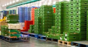 Le projet de loi agriculture et alimentation a &eacute;t&eacute; adopt&eacute;