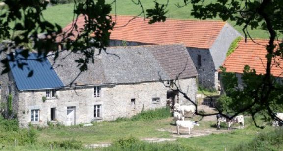 Reprise par le bailleur de terres agricoles lou&eacute;es : gare au contenu du cong&eacute; !