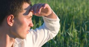 Vers une modification de la fiscalit&eacute; agricole