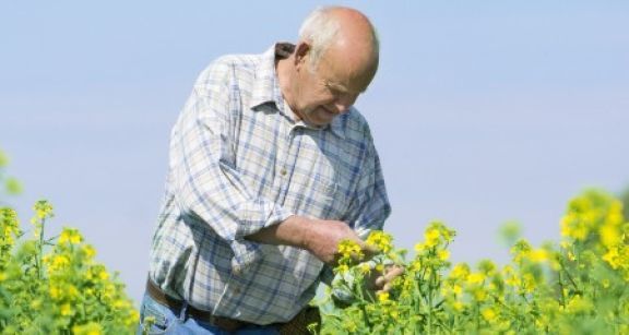 Salari&eacute;s agricoles : des cotisations de retraite compl&eacute;mentaire plus &eacute;lev&eacute;es en 2019